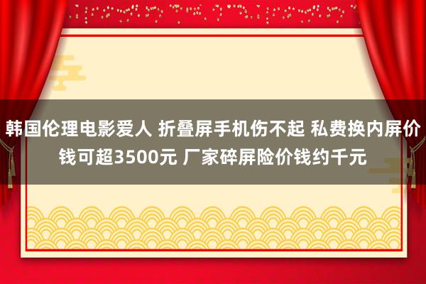 韩国伦理电影爱人 折叠屏手机伤不起 私费换内屏价钱可超3500元 厂家碎屏险价钱约千元