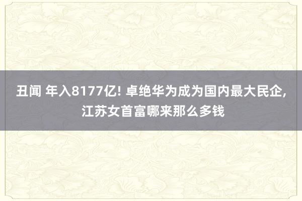 丑闻 年入8177亿! 卓绝华为成为国内最大民企, 江苏女首富哪来那么多钱