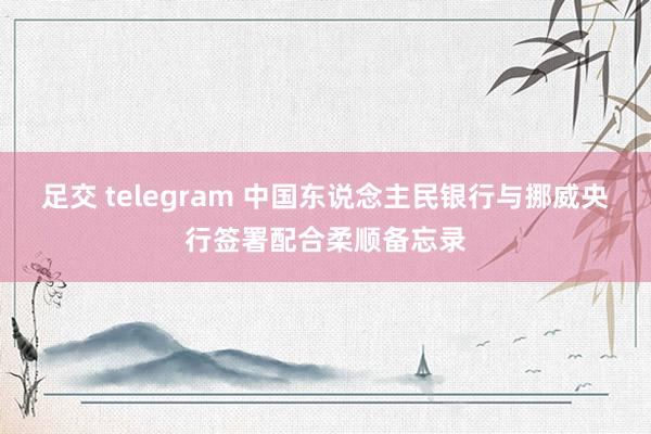 足交 telegram 中国东说念主民银行与挪威央行签署配合柔顺备忘录