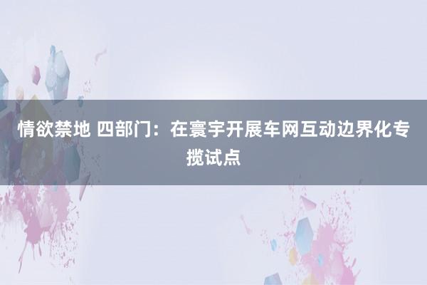 情欲禁地 四部门：在寰宇开展车网互动边界化专揽试点