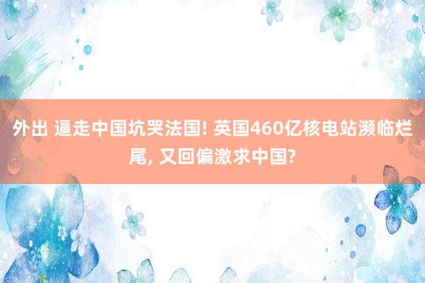 外出 逼走中国坑哭法国! 英国460亿核电站濒临烂尾， 又回偏激求中国?