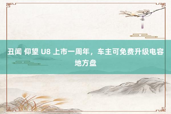 丑闻 仰望 U8 上市一周年，车主可免费升级电容地方盘