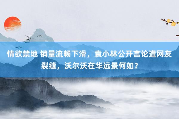 情欲禁地 销量流畅下滑，袁小林公开言论遭网友裂缝，沃尔沃在华远景何如？