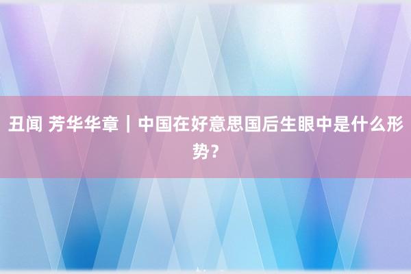 丑闻 芳华华章｜中国在好意思国后生眼中是什么形势？