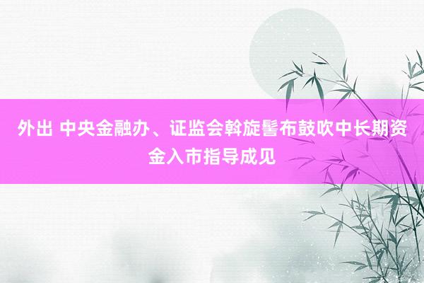 外出 中央金融办、证监会斡旋髻布鼓吹中长期资金入市指导成见