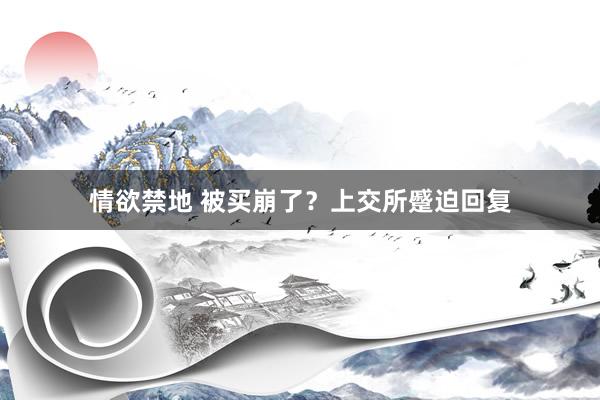 情欲禁地 被买崩了？上交所蹙迫回复