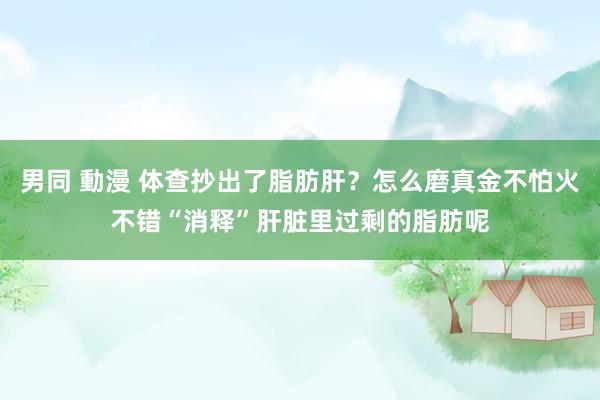 男同 動漫 体查抄出了脂肪肝？怎么磨真金不怕火不错“消释”肝脏里过剩的脂肪呢