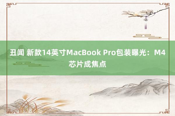 丑闻 新款14英寸MacBook Pro包装曝光：M4芯片成焦点