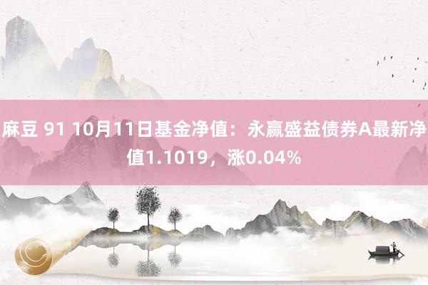 麻豆 91 10月11日基金净值：永赢盛益债券A最新净值1.1019，涨0.04%