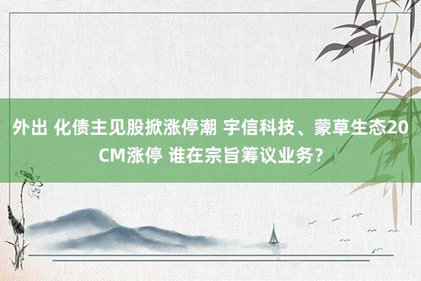 外出 化债主见股掀涨停潮 宇信科技、蒙草生态20CM涨停 谁在宗旨筹议业务？