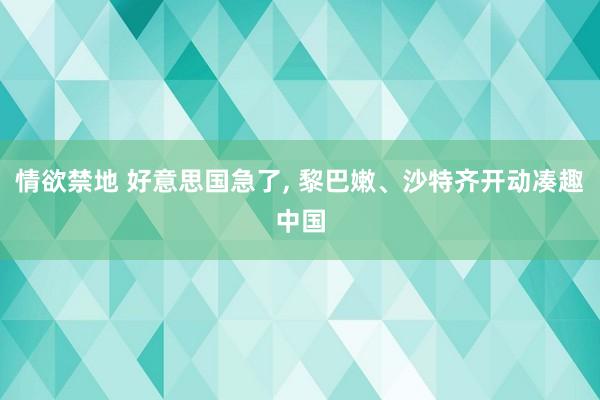 情欲禁地 好意思国急了, 黎巴嫩、沙特齐开动凑趣中国