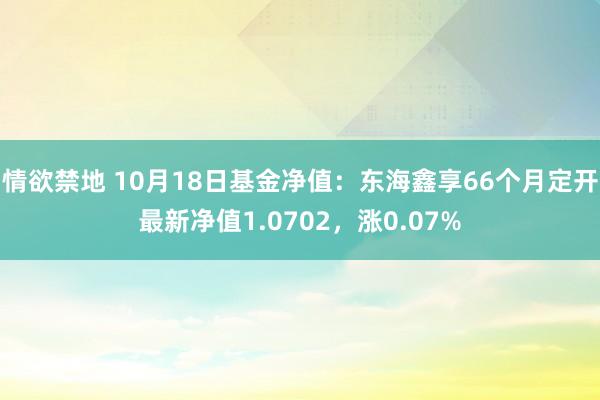 情欲禁地 10月18日基金净值：东海鑫享66个月定开最新净值1.0702，涨0.07%