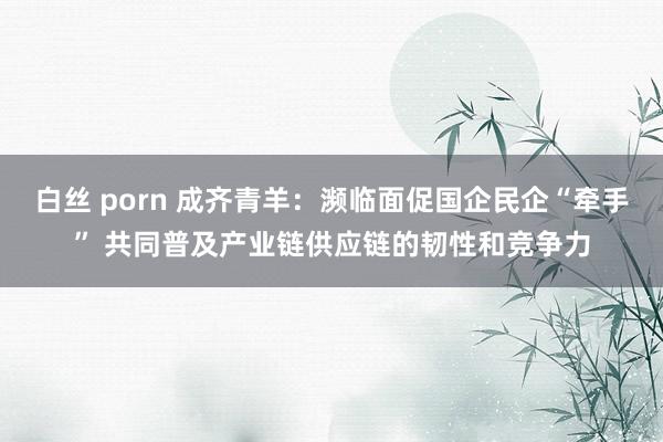 白丝 porn 成齐青羊：濒临面促国企民企“牵手” 共同普及产业链供应链的韧性和竞争力