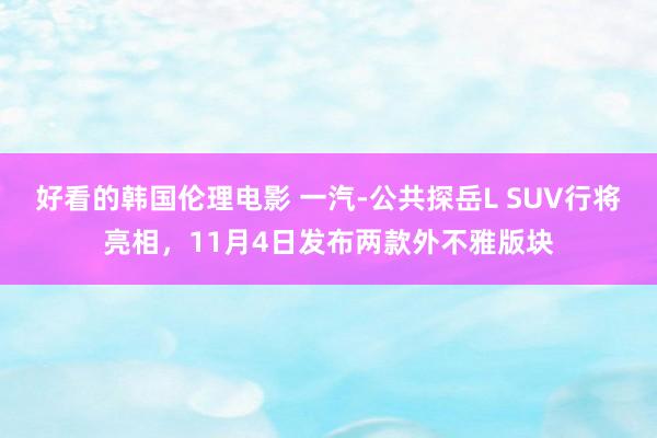 好看的韩国伦理电影 一汽-公共探岳L SUV行将亮相，11月4日发布两款外不雅版块