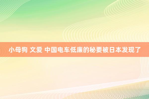 小母狗 文爱 中国电车低廉的秘要被日本发现了