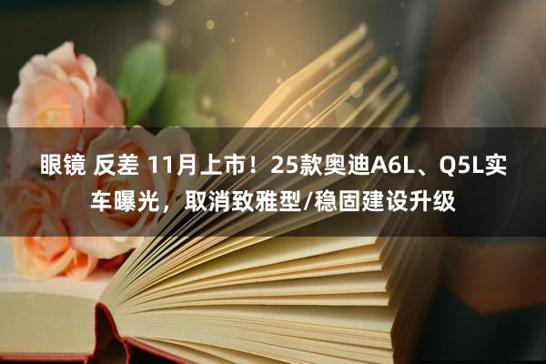 眼镜 反差 11月上市！25款奥迪A6L、Q5L实车曝光，取消致雅型/稳固建设升级