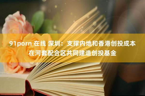 91porn 在线 深圳：支撑内地和香港创投成本在河套配合区共同建造创投基金