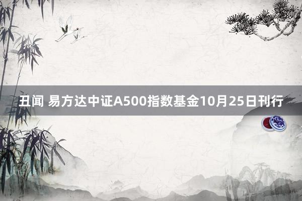 丑闻 易方达中证A500指数基金10月25日刊行