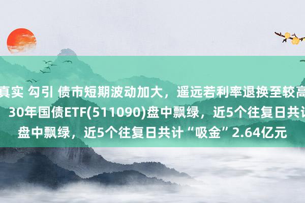 真实 勾引 债市短期波动加大，遥远若利率退换至较高位置或迎建设契机，30年国债ETF(511090)盘中飘绿，近5个往复日共计“吸金”2.64亿元