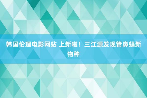 韩国伦理电影网站 上新啦！三江源发现管鼻蝠新物种