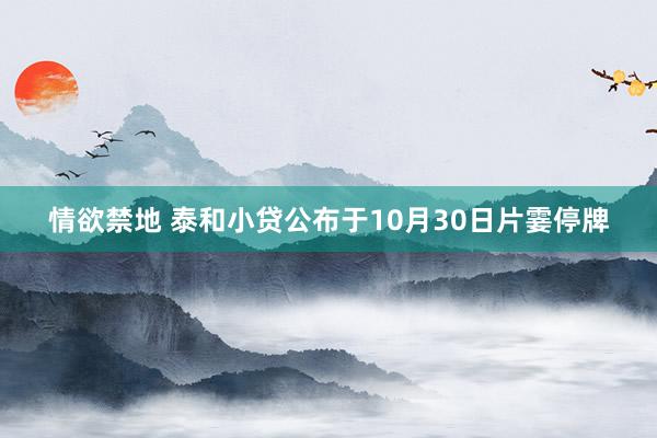 情欲禁地 泰和小贷公布于10月30日片霎停牌