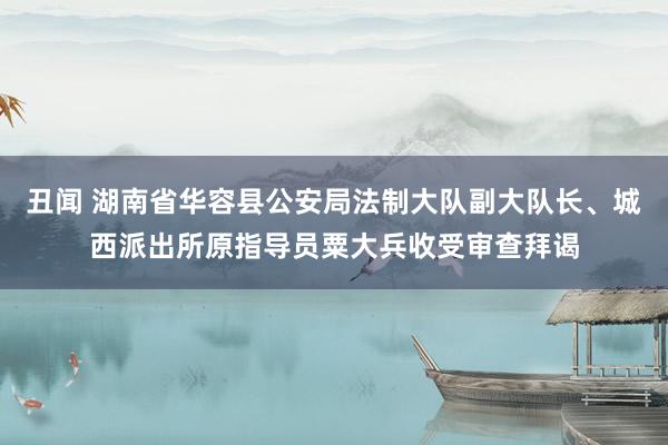 丑闻 湖南省华容县公安局法制大队副大队长、城西派出所原指导员粟大兵收受审查拜谒