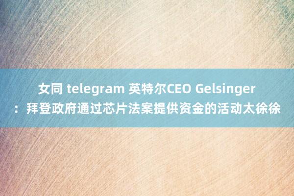 女同 telegram 英特尔CEO Gelsinger：拜登政府通过芯片法案提供资金的活动太徐徐