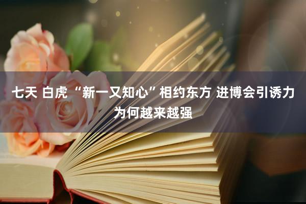 七天 白虎 “新一又知心”相约东方 进博会引诱力为何越来越强