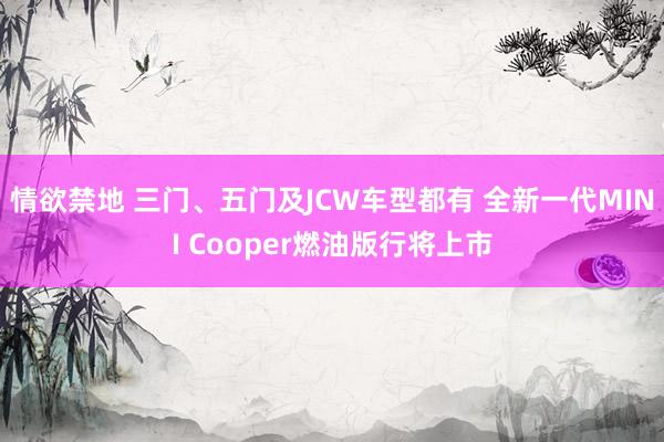 情欲禁地 三门、五门及JCW车型都有 全新一代MINI Cooper燃油版行将上市