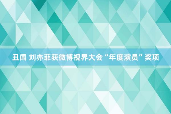 丑闻 刘亦菲获微博视界大会“年度演员”奖项