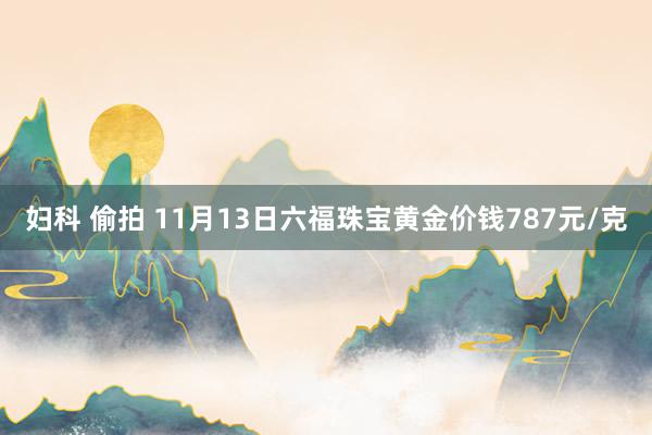 妇科 偷拍 11月13日六福珠宝黄金价钱787元/克