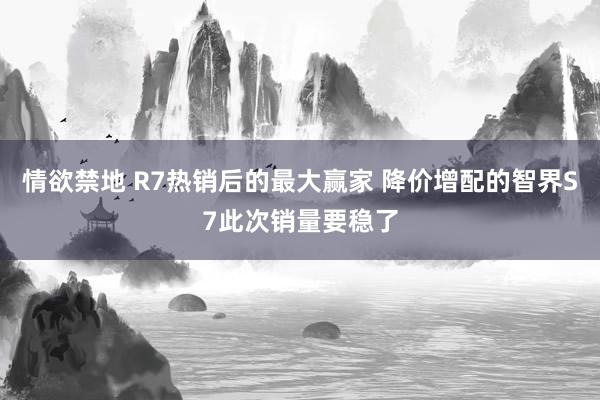 情欲禁地 R7热销后的最大赢家 降价增配的智界S7此次销量要稳了