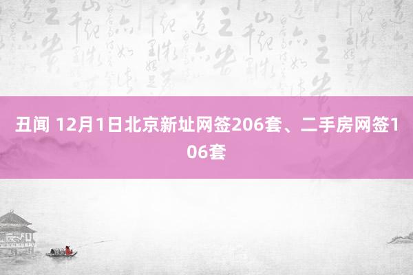 丑闻 12月1日北京新址网签206套、二手房网签106套