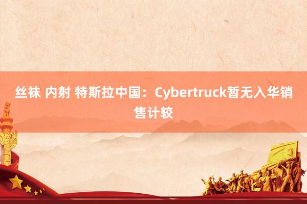 丝袜 内射 特斯拉中国：Cybertruck暂无入华销售计较