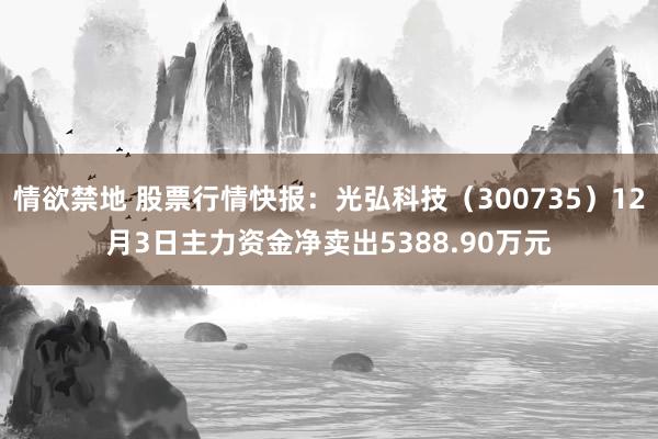 情欲禁地 股票行情快报：光弘科技（300735）12月3日主力资金净卖出5388.90万元