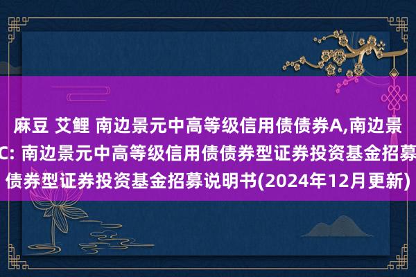 麻豆 艾鲤 南边景元中高等级信用债债券A,南边景元中高等级信用债债券C: 南边景元中高等级信用债债券型证券投资基金招募说明书(2024年12月更新)