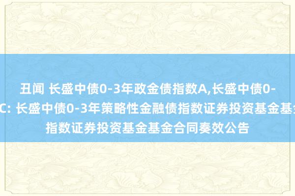 丑闻 长盛中债0-3年政金债指数A,长盛中债0-3年政金债指数C: 长盛中债0-3年策略性金融债指数证券投资基金基金合同奏效公告