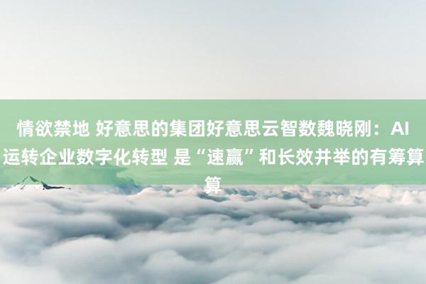 情欲禁地 好意思的集团好意思云智数魏晓刚：AI运转企业数字化转型 是“速赢”和长效并举的有筹算