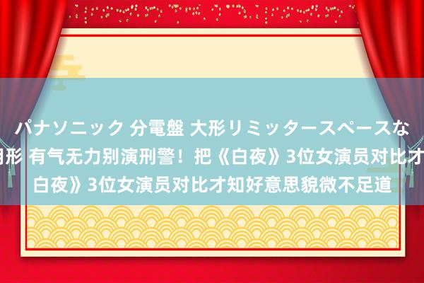 パナソニック 分電盤 大形リミッタースペースなし 露出・半埋込両用形 有气无力别演刑警！把《白夜》3位女演员对比才知好意思貌微不足道