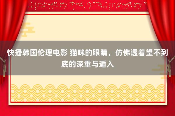 快播韩国伦理电影 猫咪的眼睛，仿佛透着望不到底的深重与遁入