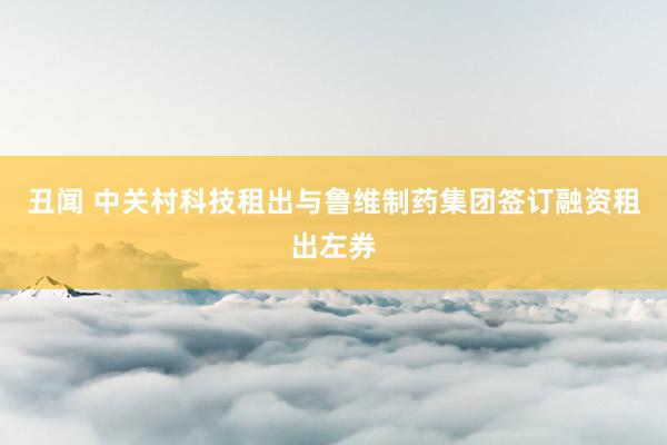 丑闻 中关村科技租出与鲁维制药集团签订融资租出左券