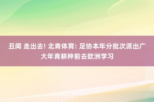 丑闻 走出去! 北青体育: 足协本年分批次派出广大年青耕种前去欧洲学习