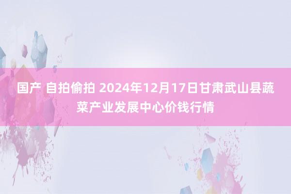 国产 自拍偷拍 2024年12月17日甘肃武山县蔬菜产业发展中心价钱行情