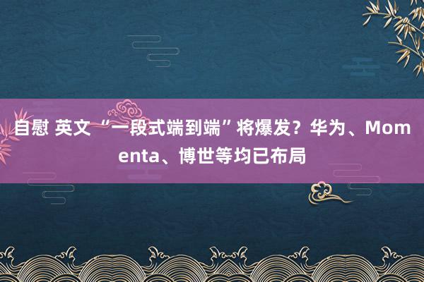 自慰 英文 “一段式端到端”将爆发？华为、Momenta、博世等均已布局