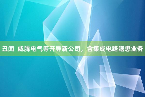 丑闻  威腾电气等开导新公司，含集成电路瞎想业务