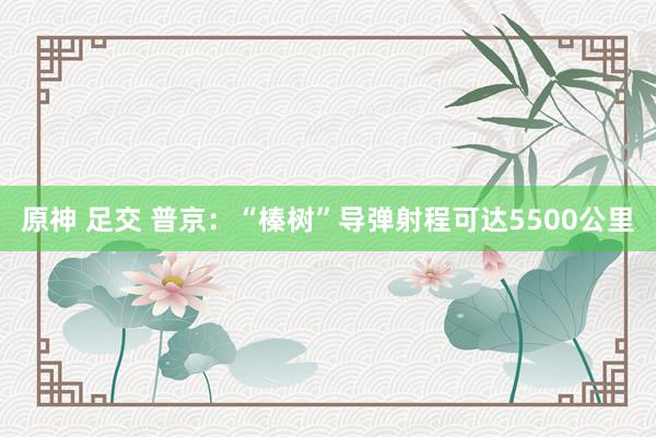 原神 足交 普京：“榛树”导弹射程可达5500公里