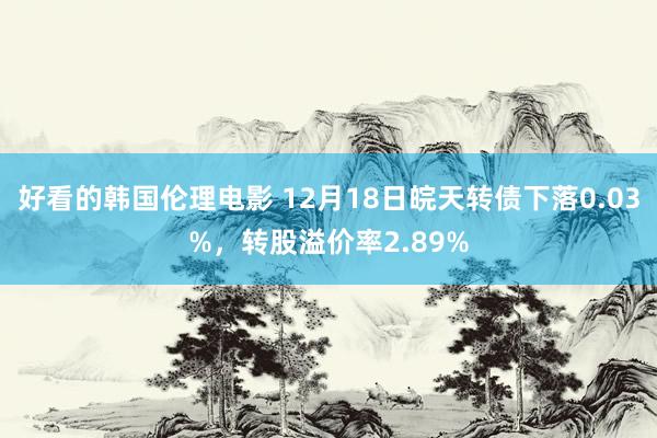 好看的韩国伦理电影 12月18日皖天转债下落0.03%，转股溢价率2.89%