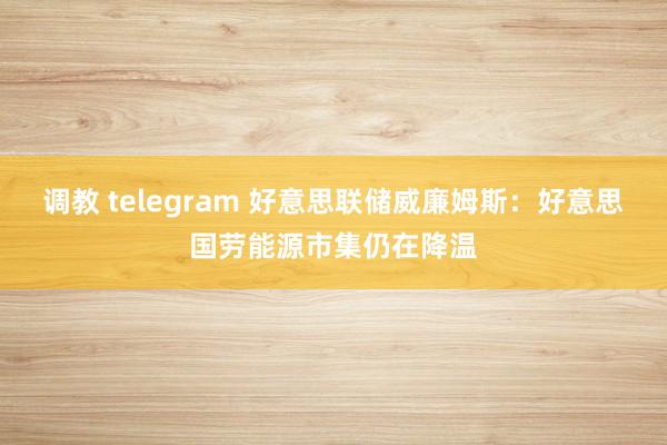 调教 telegram 好意思联储威廉姆斯：好意思国劳能源市集仍在降温