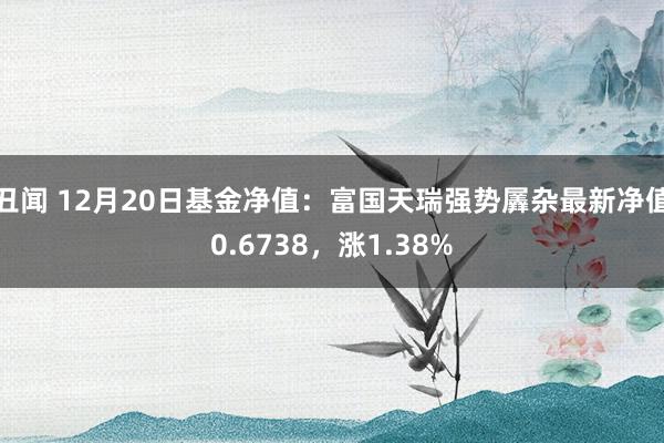 丑闻 12月20日基金净值：富国天瑞强势羼杂最新净值0.6738，涨1.38%