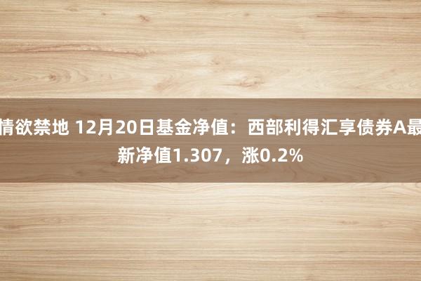 情欲禁地 12月20日基金净值：西部利得汇享债券A最新净值1.307，涨0.2%